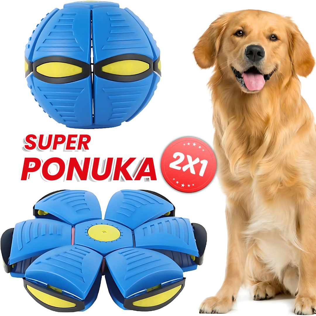 Lietajúca frisbee lopta 2x1